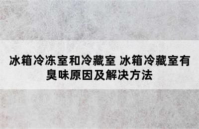 冰箱冷冻室和冷藏室 冰箱冷藏室有臭味原因及解决方法